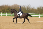 SBM_003387