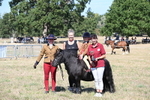 WJ6_8115