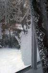 Winters Lace 12 x 18