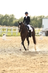 SBM_001903