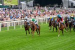 250725-Race 5-Sand Gazelle-0701