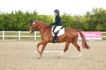 SBM_000534