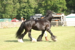 SBM_10336
