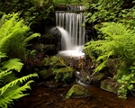 Upper Coppice Wheel