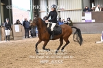 BPP_6333