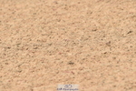 230720A-110850-02313