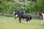WJ6_1250