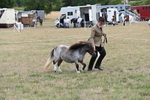 WJ6_5409