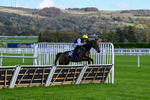241025-Race 1-The Expensive One-2073