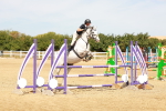 SBM_003398