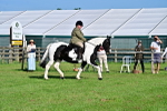 SBM_11379