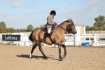 SBM_22349