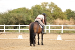SBM_006392