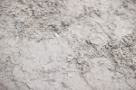 SBM_001019