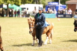 SBM_16381