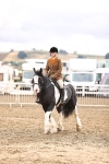 SBM_00292