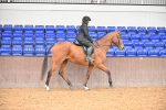 SBM_001877