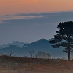 Landscape-050