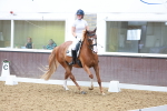 SBM_002590