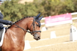 SBM_018037