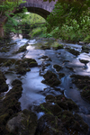 Argill Bridge, Cumbria