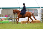 SBM_02739