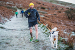 Sale Fell-10