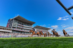 220826-Race 6-Sale Shark-6212