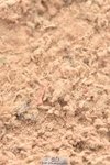 231011A-123246-00406