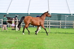 SBM_00018