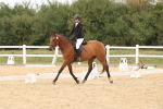 SBM_00960