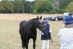 WJ6_6327