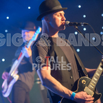 Peppered Ant Legs-198