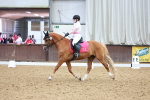 SBM_005856