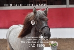 JAC_5690