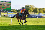 300926-Race 7-Prince Of Calypso-7072
