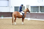SBM_000453