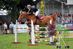 EQUISCOT 9291