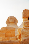 Sphinx Giza Plateau 0007