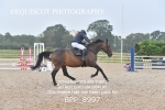 BPP_8997