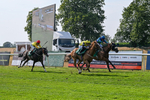 160726-Race 6-Capital Guarantee-5136