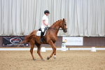SBM_002382