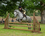 Dunblane show-621