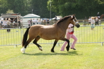 SBM_02411