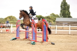 SBM_024689