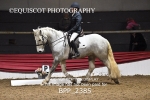 BPP_2385
