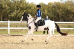 SBM_000229