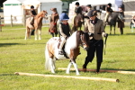 SBM_11181