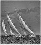 A fight to the finish