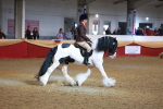 SBM_09749